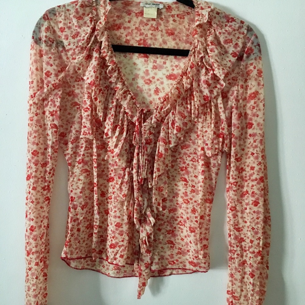 🔥 Sharagano Paris sheer blouse 🔥